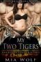 [Double Desert Shifters 07] • My Two Tigers